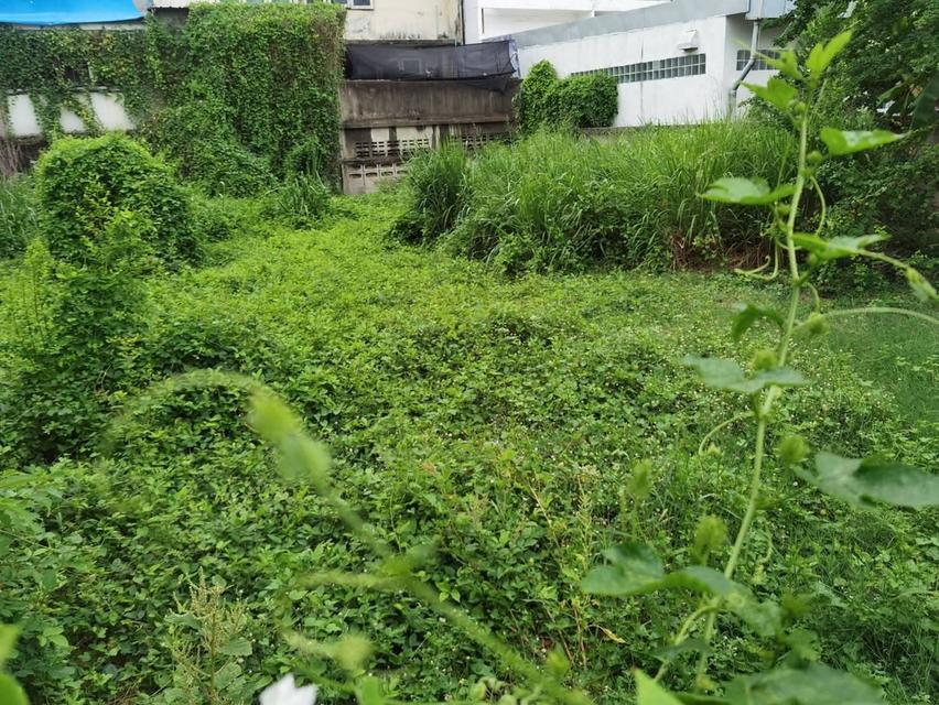 ที่ดินศรีราชา เขตเมืองชั้นใน 2