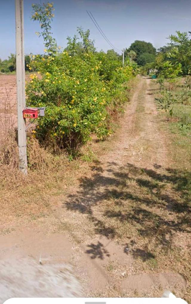 ขายที่ดินอำเภอเฉลิมพระเกียรติจังหวัดนครราชสีมา ขนาดที่ดิน: 25-1-78 ไร่ 3