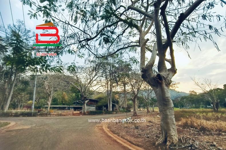 ที่ดินเปล่า โครงการ มาริโน่ เขาใหญ่ เนื้อที่ 4-1-64 ไร่ ถนนมิตรภาพ ตำบลหนองน้ำแดง อำเภอปากช่อง จังหวัดนครราชสีมา 3