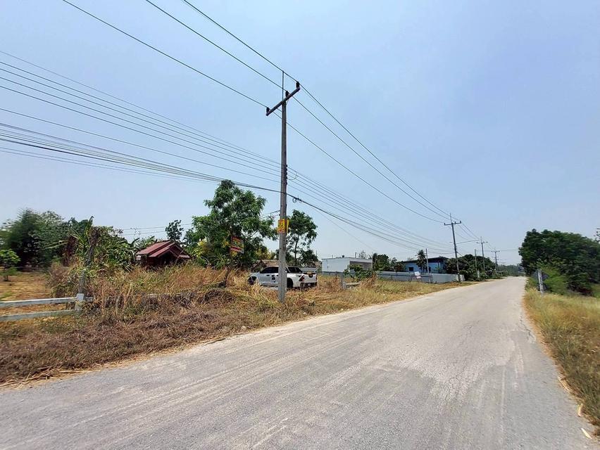 ขายที่ดินใกล้วัดหนองตาเนิด 200 ตรว ติดถนนลาดยางสาธารณะ  ต.ปากช่อง อ.จอมบึง จ.ราชบุรี 2