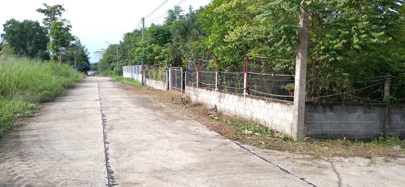 ที่ดินเปล่า 200 ตร.ว. 4