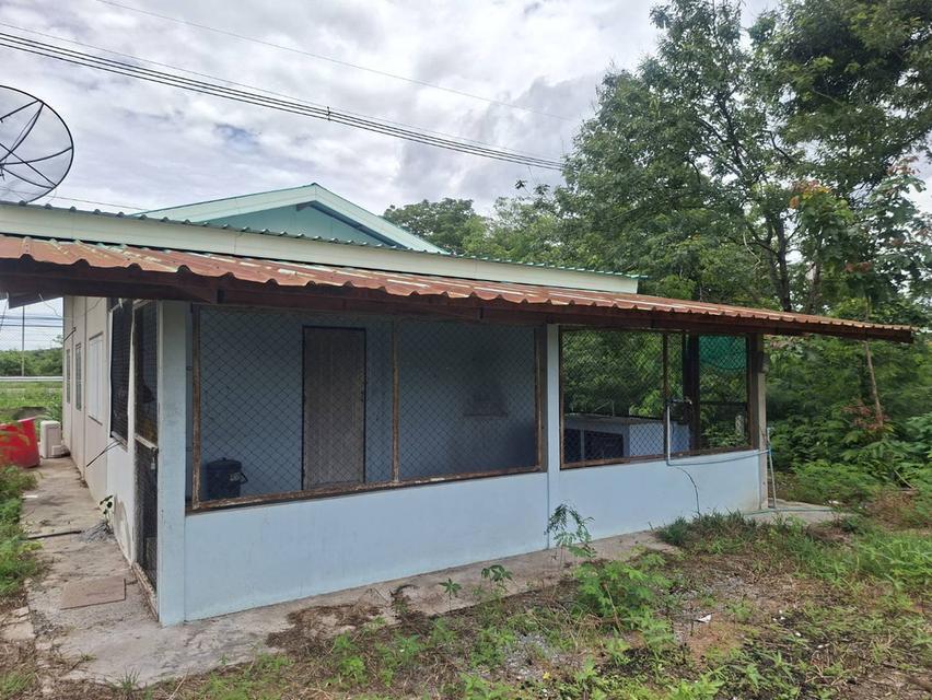 ขายที่ดินแปลงใหญ่ ติดถนน 4เลน สระบุรี-เพชรบูรณ์ 14