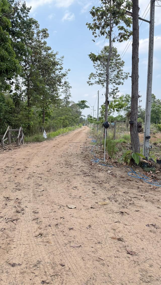 🏡ขายบ้านพร้อมที่ดิน 5 ไร่ — ทำเลทองบ้านสาวะถี จ.ขอนแก่น 4