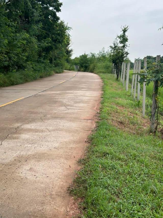 ขายที่ดิน 10 ไร่ ติดถนน หน้ากว้าง 70 เมตร 9