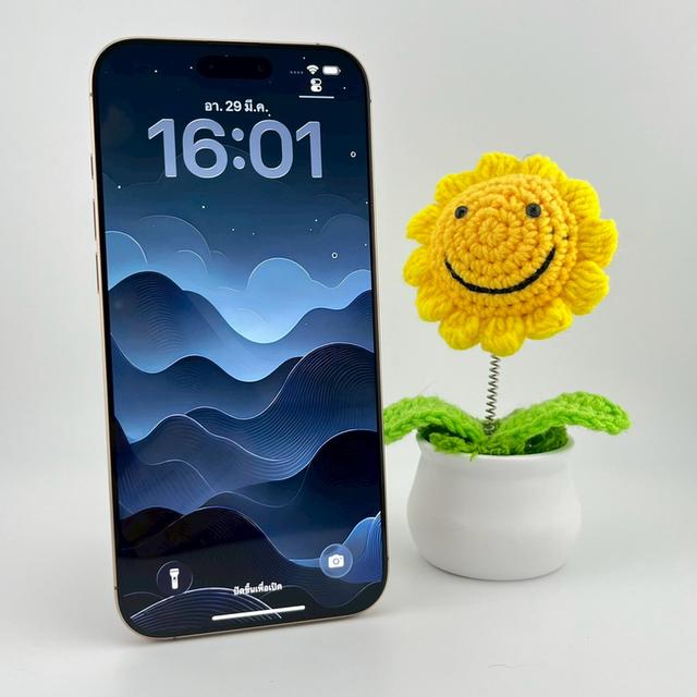 iPhone 16 Pro Max 512 GB | PH291