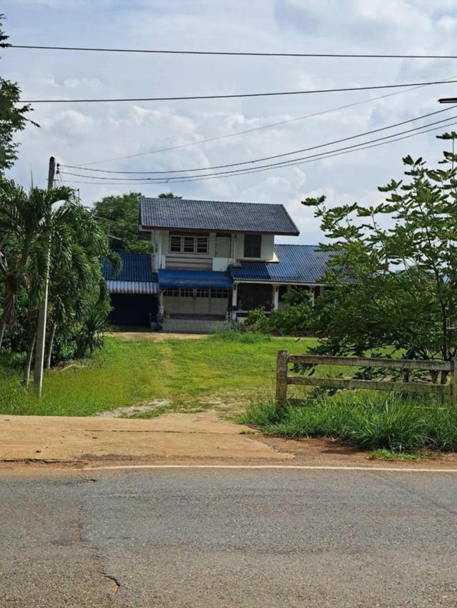 ที่ดินปากช่องพร้อมบ้าน 2.5 ไร่ ในตัวเมืองปากช่อง ถนนเทศบาล 5 หลังโรงพยาบาลปากช่อง ทางไปบ้านไร่ทอสี โรงเรียนปัญญาประทีป ทำกิจการร้านอาหารค้าขายได้ 1