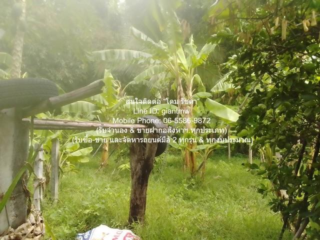 ขายที่ดินเกษตรกรรมผืนใหญ่ 3-0-27.3 ไร่ ถนนพิบูลสงคราม นนทบุรี ราคา 62 ล้านบาท