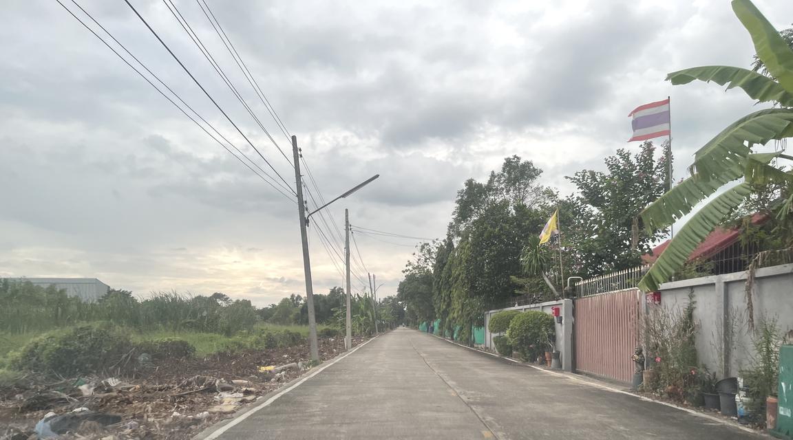 ขายที่ดิน 1 ไร่ คลอง 10 หนองเสือ ปทุมธานี 098 7755 808 13