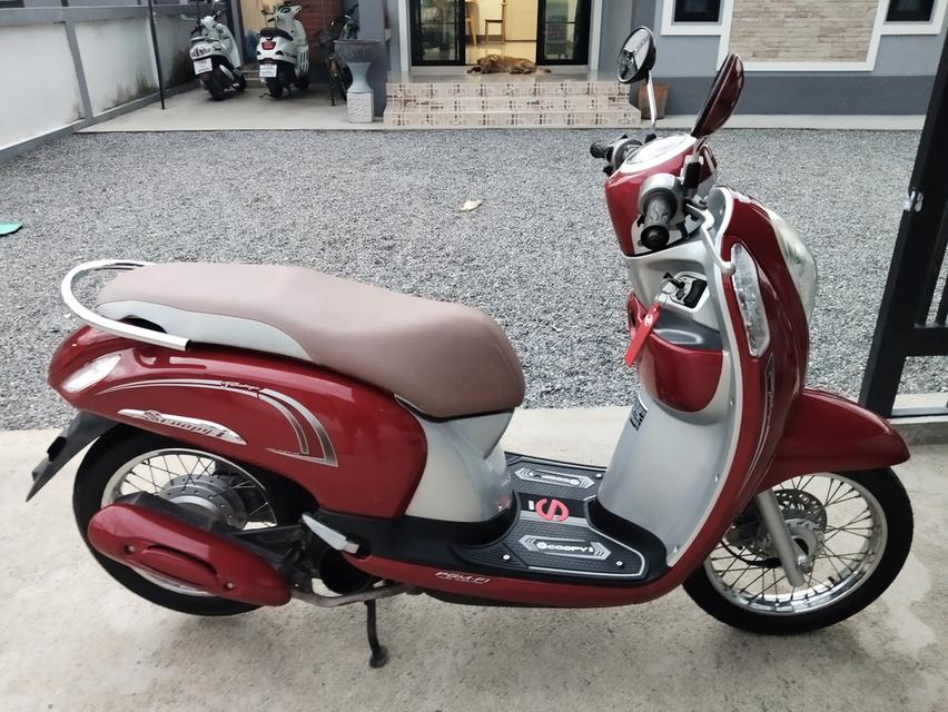 Honda Scoopy i ปี2013
