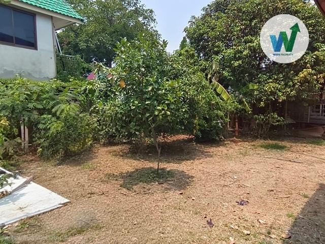 Sales Setthakit Village18 , Phetkasem Road Soi 102  for 5 Bedrooms 2 Bathrooms  Near Kanchanapisek 9  Suvarnabhumi 9