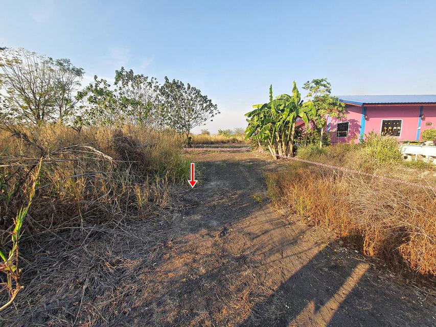 ขาย ที่ดิน จัดสรร ชัยบาดาล ลพบุรี 100 ตร.วา น้ำ ไฟ เข้าถึง Land for SALE in Lopburi 6