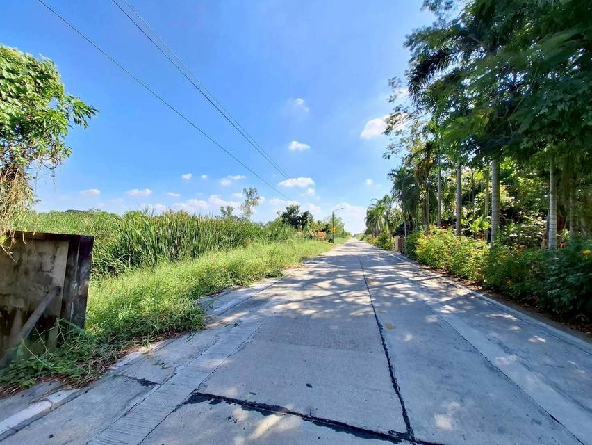 Vายด่วนที่ดินคลองสอง 2 ไร่ ซอย ไอยรา 34 อ.คลองหลวง จ.ปทุมธานี 6