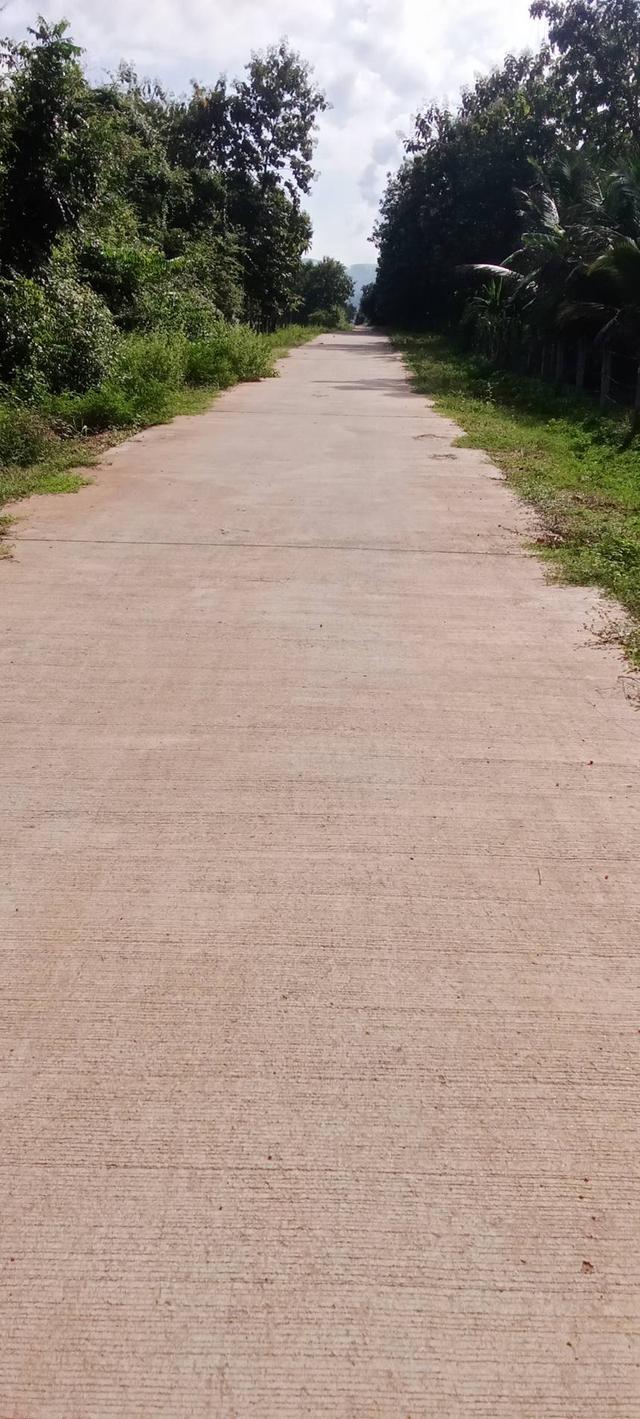ประกาศขายไร่ประเสริฐชัย ด่วน 5