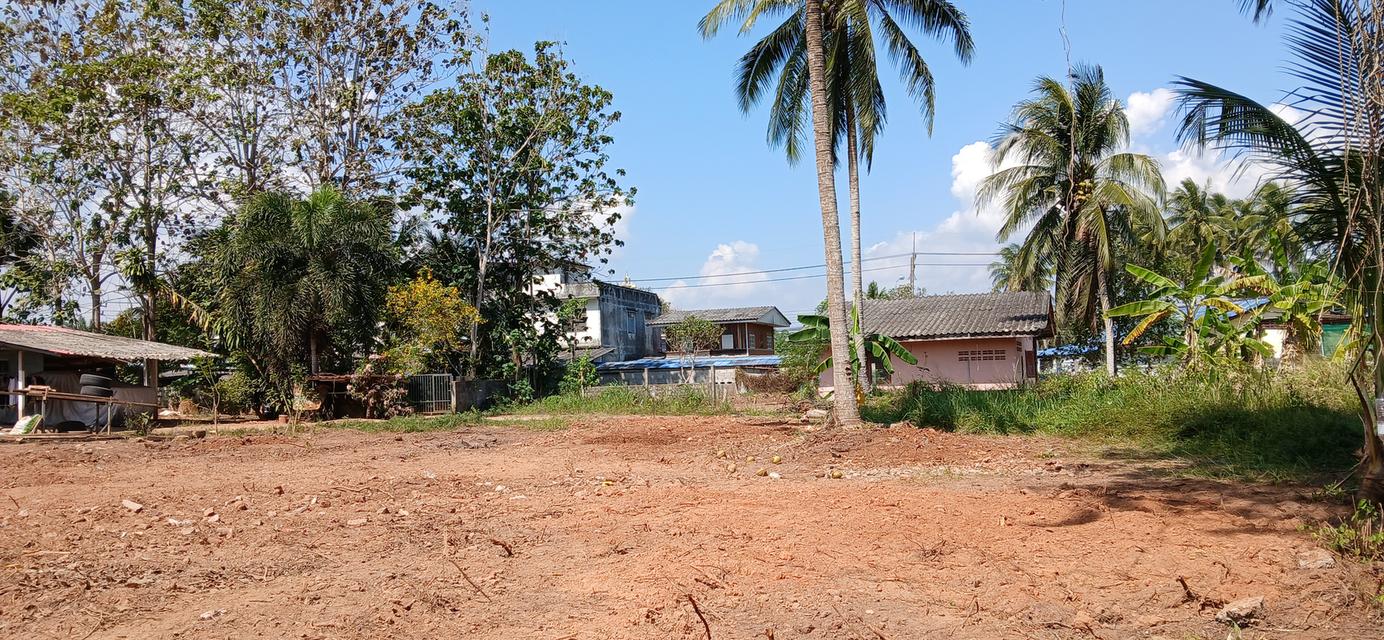 ขายที่ดินเปล่าโฉนด 1 งาน 15.9 ตร.ว. อยู่ในชุมชน ต.นาชะอัง อ.เมืองชุมพร ห่างศาลากลางจังหวัดเพียง 3 กม. ที่เนินปลอดภัยจากน้ำท่วม เจ้าของเองครับ 7