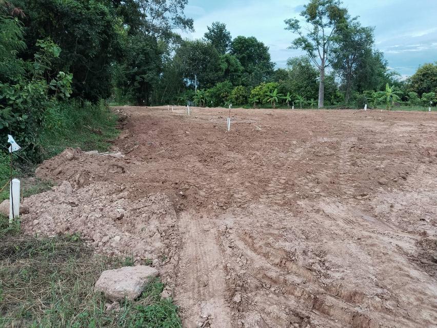 ที่ดินแบ่งขาย ใกล้ตัวเมืองกาฬสินธุ์ เหมาะสร้างบ้านอยู่อาศัย 10