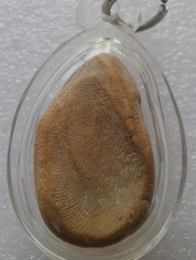 #พระนางกำแพงกลีบบัว✅✅✅ รูปที่ 2