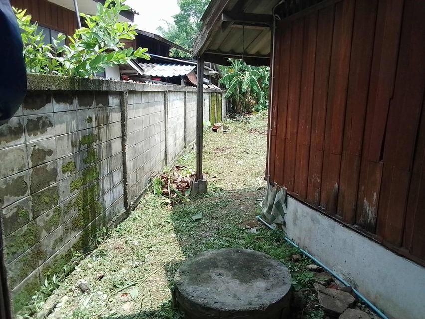 ขายบ้านพร้อมที่ดิน อ.แม่อาย 79ตารางวา ติดถนนสายฝาง-ท่าตอน (โฉนดครุฑแดง) เจ้าของขายเอง 2