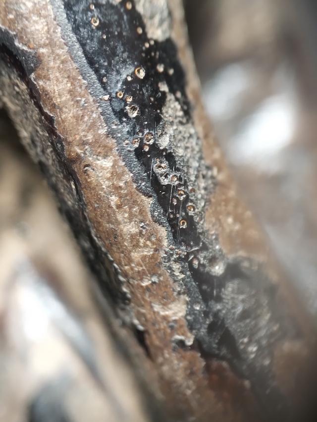 ขายพระเครื่องพระบูชา รูปที่ 10