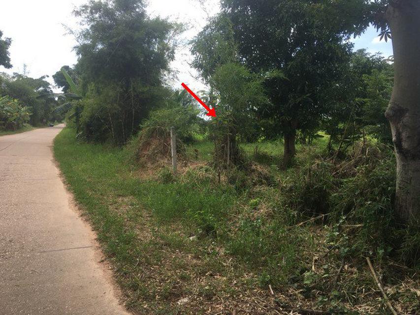 ที่ดิน 1 งาน บ้านหนองแวง ท่าพระ ขอนแก่น  6