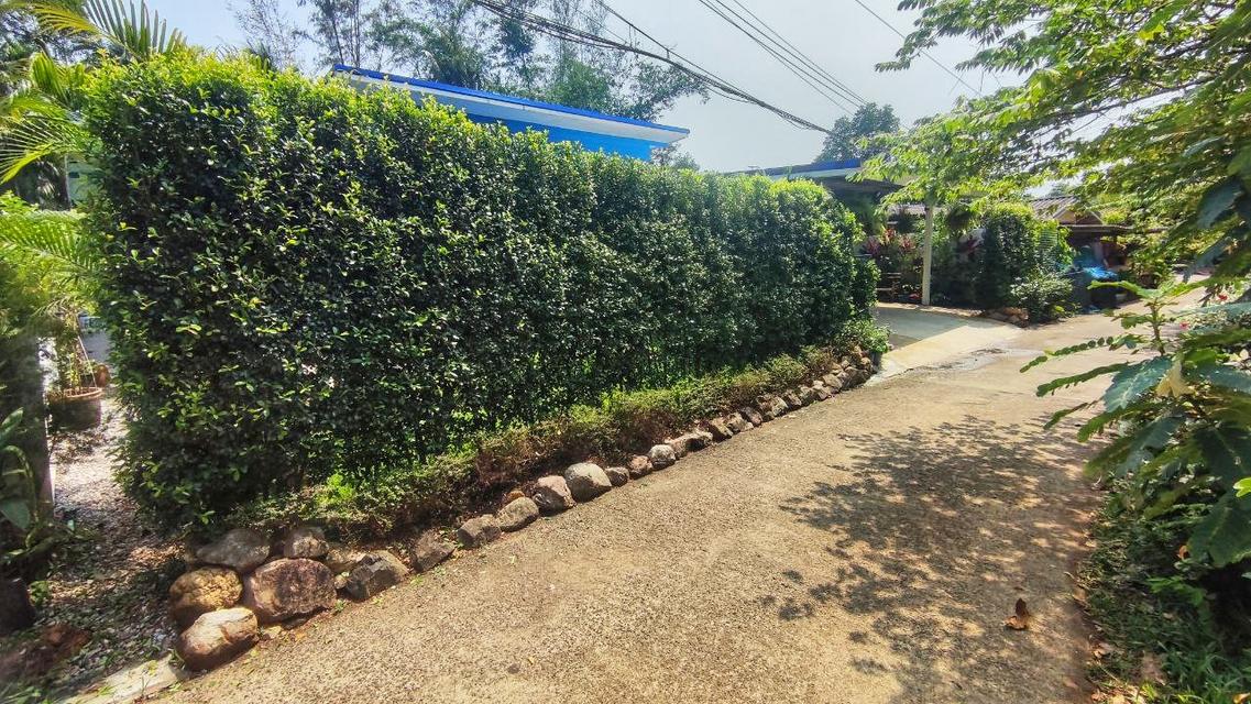 Koh Chang lovely 3bd 2ba House for sale รูปย่อยที่ 2