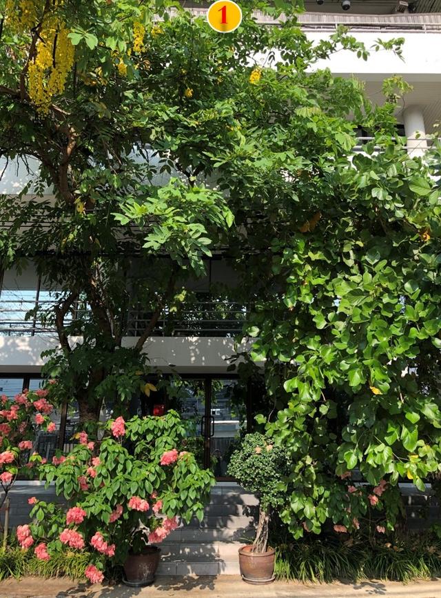 [ราคาพิเศษ] ขายตึก โฮมออฟฟิศ 4 ชั้น ติดMRTศรีนุช สายสีเหลือง ถนนสุขุมวิท 77 อ่อนนุช 62 แยกศรีนครินทร์–อ่อนนุช 8
