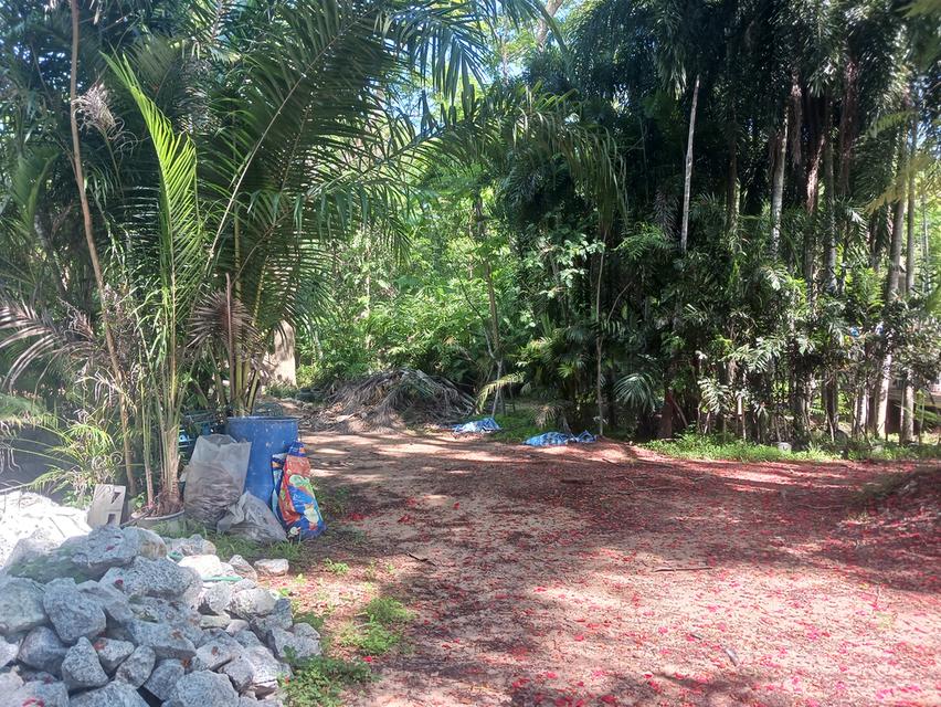 ขายที่ดินซอยสยามคันทรีคลับ 11