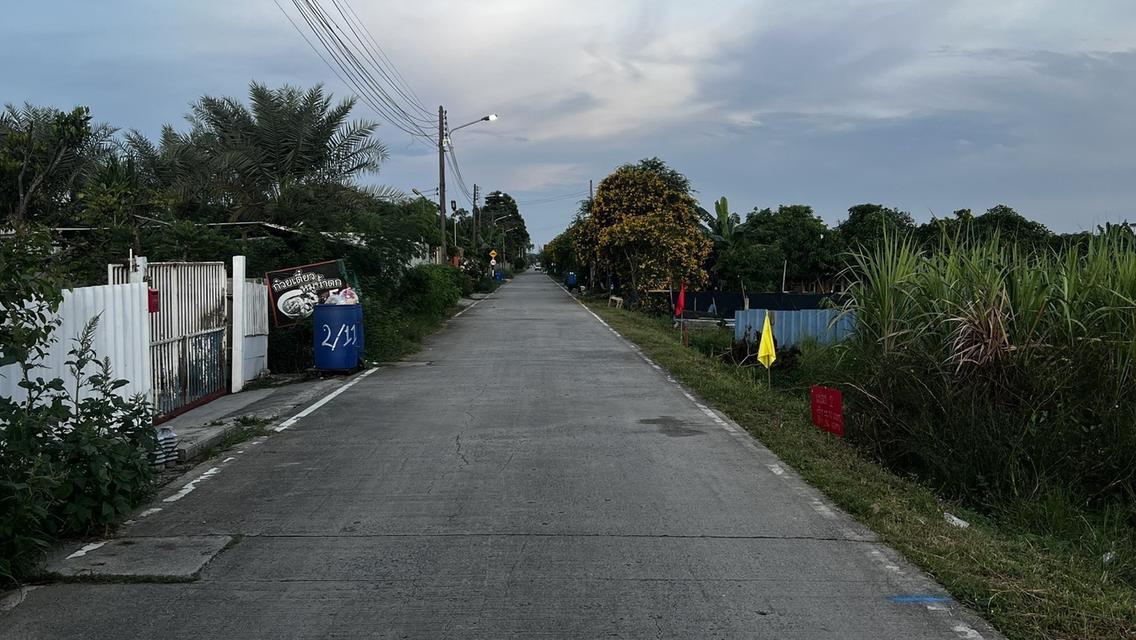 ขายที่ดินเปิดแปลงใหม่ คลองสาม  คลองหลวง ปทุมธานี 100 ตารางวาเพียง  8.5 แสนบาท 8