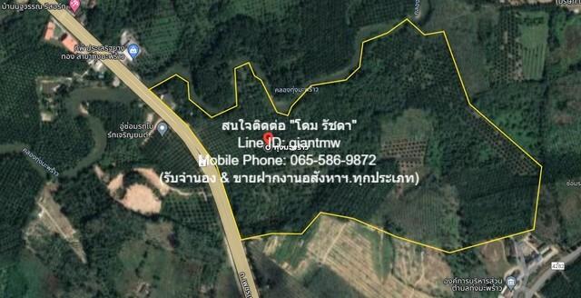 รหัส DSL-367 ขายด่วน ๆ ที่ดิน ที่ดิน ทุ่งมะพร้าว อ.ท้ายเหมือง จ.พังงา 36 RAI 2 ngan 23 ตร.ว. 91396250 BAHT ทำเลดี 3