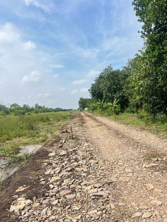 ขายที่ดินบึงกาสาม 200 ตรว. คลอง11 ใกล้ถนนเส้น3022-1.5กม. อ.หนองเสือ จ.ปทุมธานี 2