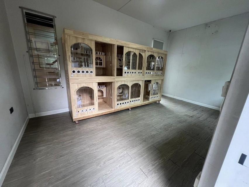 B965 ให้เช่าบ้านเดี่ยว หมู่บ้านชัยพฤกษ์ รามอินทรา-วงแหวน2 ถนนคู้บอน  เขตคลองสามวา 12