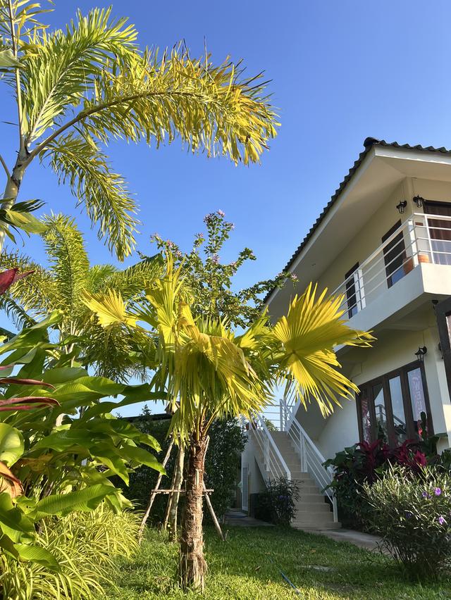 ขายบ้านและที่ดิน เมืองกาญ 5