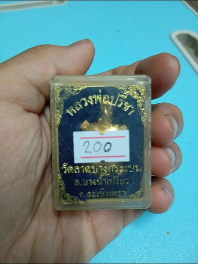 พญาเต่าเรือนหลวงพ่อปรีชา