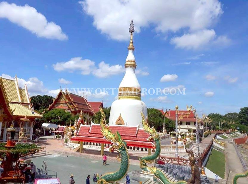 ที่ดินถมแล้ว 9 แปลง แบ่งขาย ใกล้โรงพยาบาลแก่งคอย ต.บ้านป่า อ.แก่งคอย สระบุรี 14