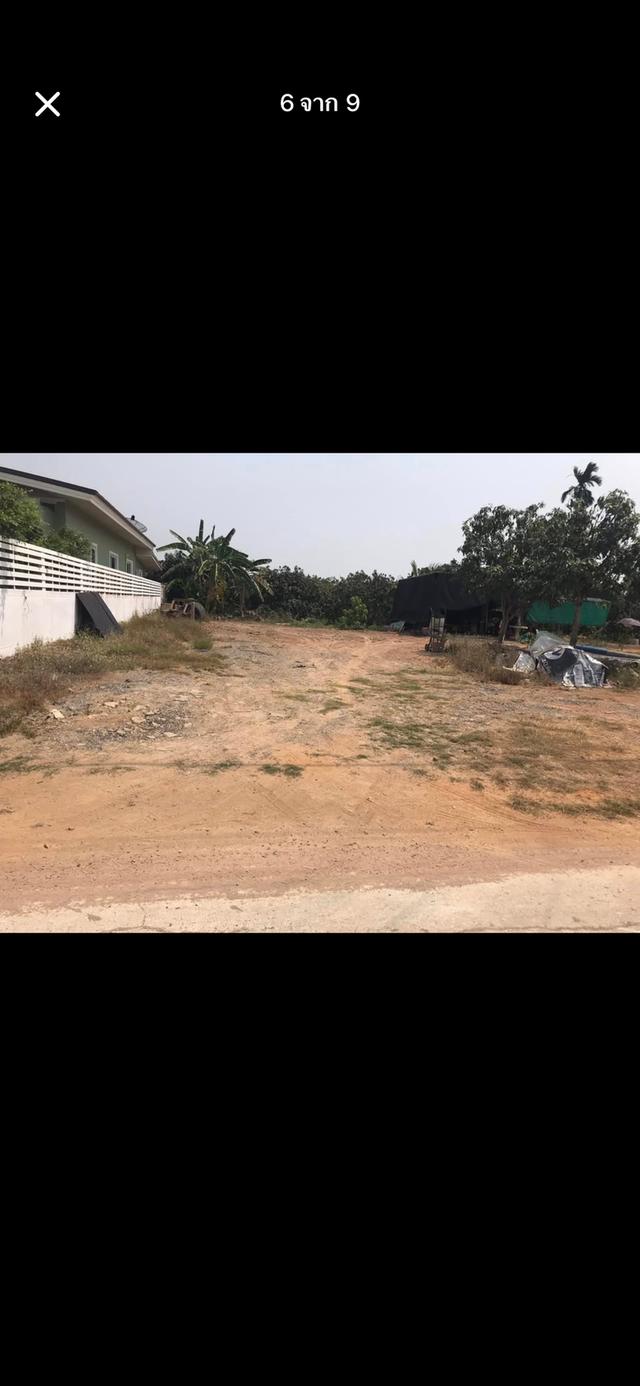 ที่ดินสวย พร้อมสร้างบ้าน จ.สุพรรณบุรี 4