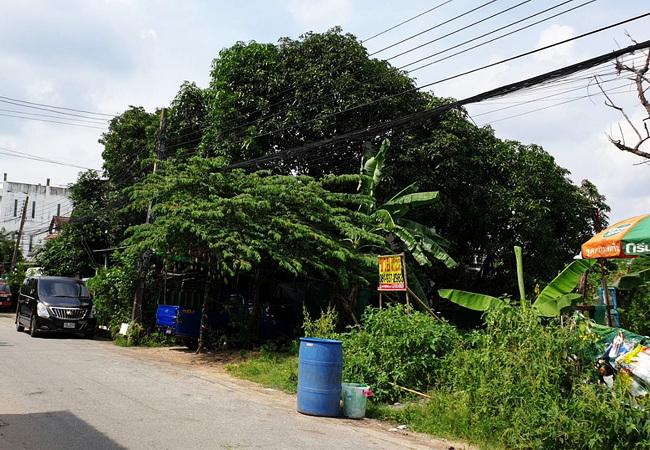 ขายที่ดิน ถนนเสรีไทย ซอย 41 แขวงคลองกุ่ม เขตบึงกุ่ม กรุงเทพมหานคร 3