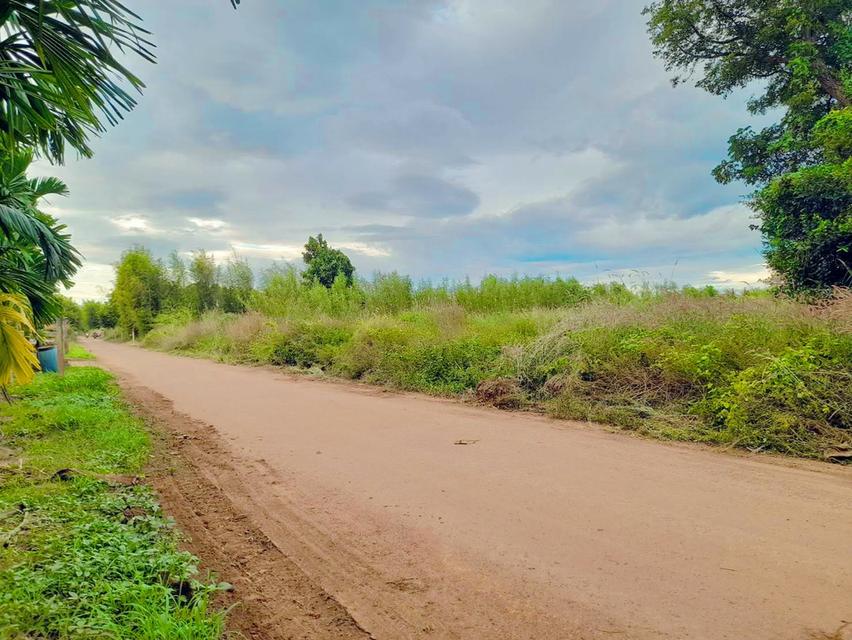 ขายที่ดินนนทรี 9 ไร่ ซอยวัดสระขุด ใกล้ถ.สุวรรณศร33สนามไดร์ฟกลอ์ฟ-500เมตร อ.กบินทร์บุรี ปราจีนบุรี 2