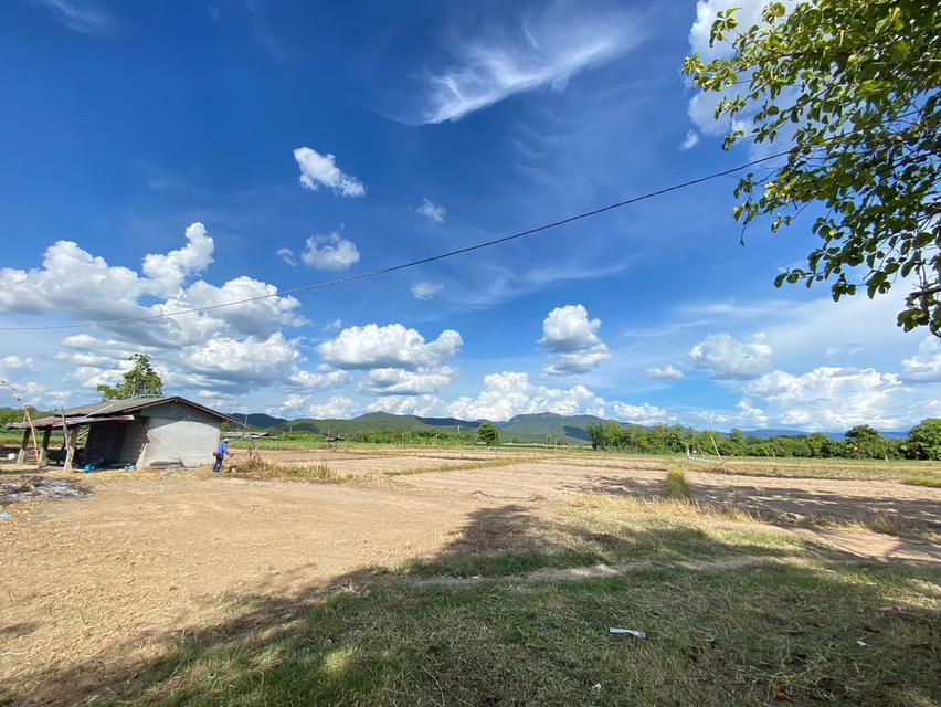 ขายที่ดินเปล่า พื้นที่สีเขียว แนวสนามบินเชียงใหม่แห่งใหม่ 4