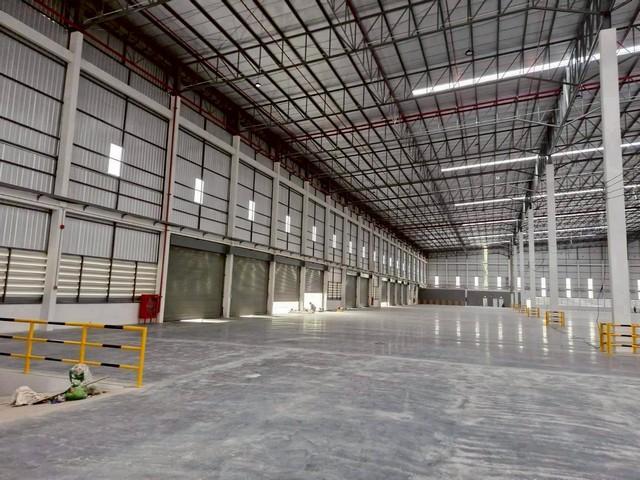 ให้เช่าโรงงานศรีราชาชลบุรี โรงงานเช่าชลบุรี ผังม่วงลาย พื้นที่ 7,000, 14,000 ,20,000 ตารางเมตร 4