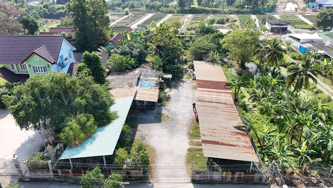 ที่ดิน 1 ไร่ ซอย สุคนธวิท 29 กระทุ่มแบน - สมุทรสาคร ราคาถูก 6