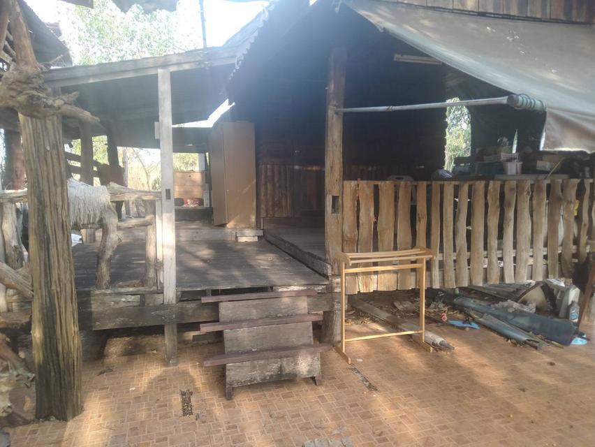 ขายบ้านพร้อมที่ดิน 7