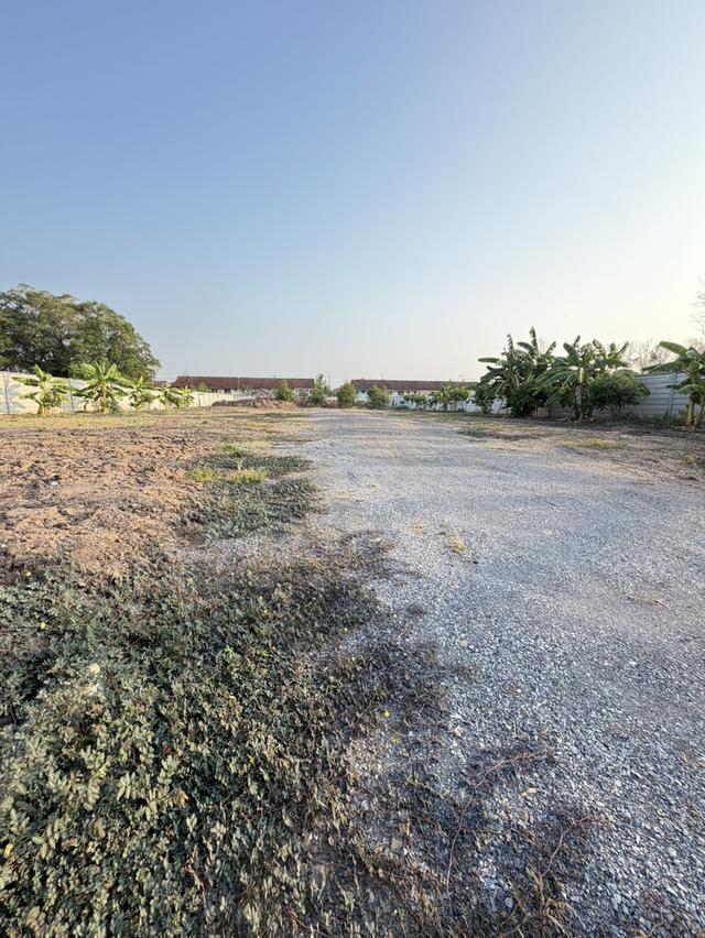 ที่ดินคลอง3 คลองหลวง ปทุมธานี 3