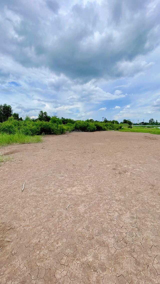 ขายที่ดินนครนายก (คลอง 15) เนื้อที่ 22-0-67.6 ไร่ 7