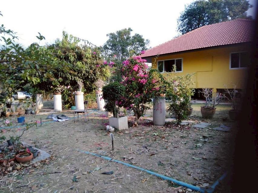 ขายที่ดินพร้อมบ้านพักตากอากาศ วิวภูเขาโอบล้อมเขาใหญ่-ปากช่อง. 3ห้องนอน 3 ห้องน้ำ แอร์ 2ห้อง1 ไร่ 94.1 ตารางวา คุณศิริพงษ์ 083-600-8600 / 0655941610 11