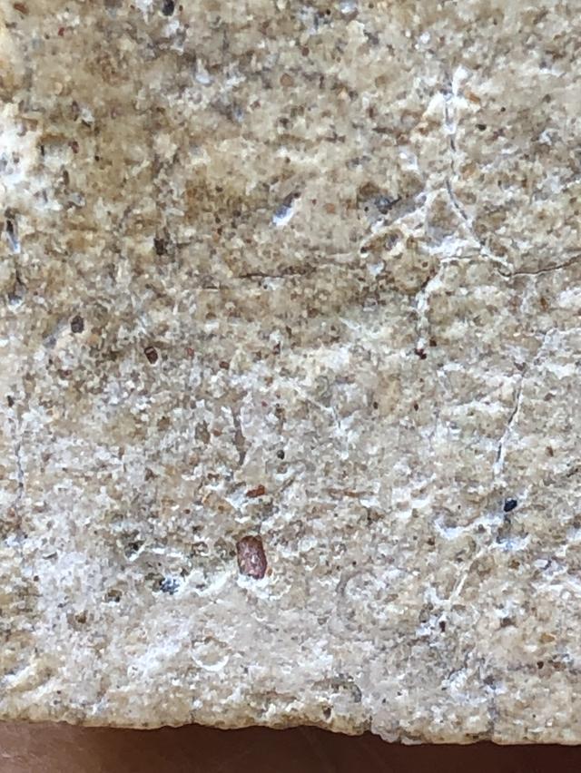 พระสมเด็จวัดระฆังพิมพ์ใหญ่ รูปที่ 9