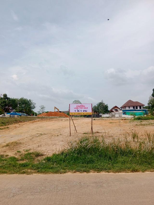 ที่ดิน จังหวัดภูเก็ต 2