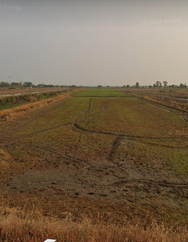 ที่ดินเปล่าที่นา ทำเลดี 3