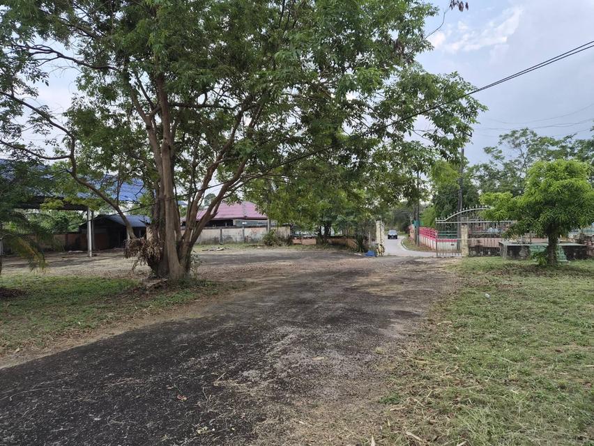 บ้าน บ้านเดี่ยวพร้อมที่ดิน 11
