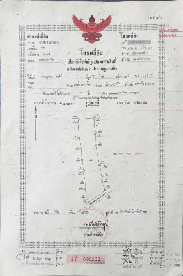 ที่ดินเปล่าใกล้เซ็นทรัล (5 นาที) โรงพยาบาลมหาราช (3 นาที) ขายด่วน ถูกมาก ไร่ละไม่ถึงล้าน 8