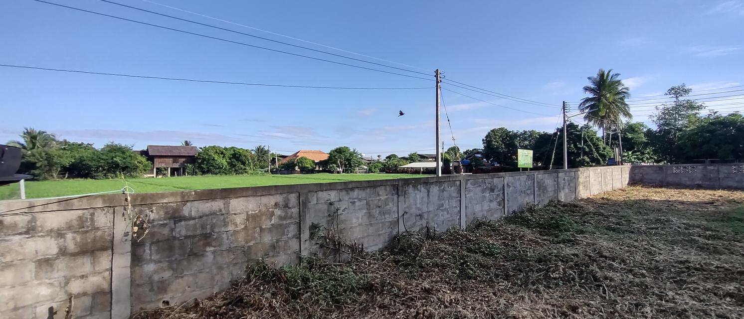 ที่สำหรับสร้างบ้าน 115ตรว 490,000อยู่บ้านนาแก้วตะวันออก ต.นาแส่ง อ.เกาะคา จ.ลำปาง วิวเขา วิวทุ่งนา อยู่กลางชุมชนห่างถนนพหลโยธิน 80เมตร ห่าง7-1 10