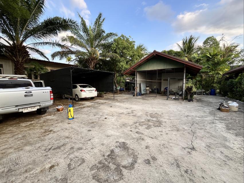 BUNGALOW FOR RENT LONG TERM - บ้านพร้อมเฟอร์นิเจอร์ให้เช่า 10